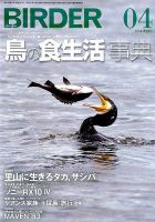 BIRDER（バーダー） 2019年4月号 表紙