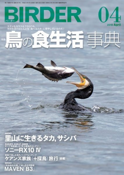 BIRDER（バーダー） 2019年4月号 (発売日2019年03月15日) 表紙