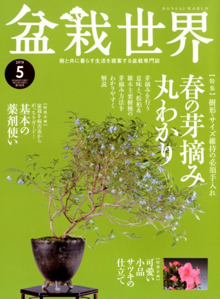 盆栽世界 2019年5月号 (発売日2019年04月04日) 表紙