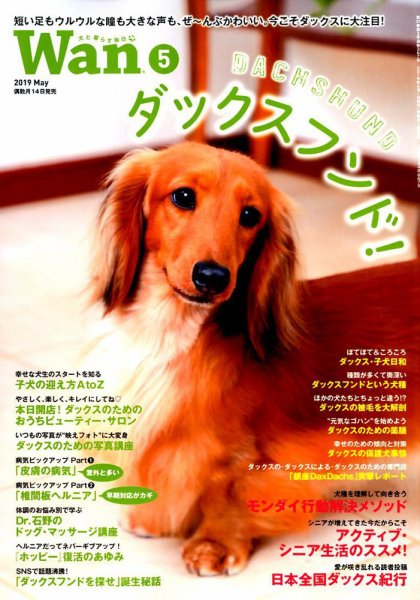 wan（わん） 2019年5月号 (発売日2019年04月12日) 表紙
