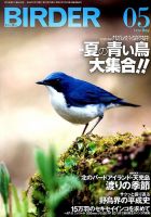 BIRDER（バーダー） 2019年5月号 表紙