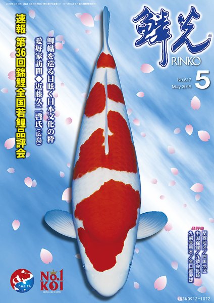 鱗光 2019年04月15日発売号 表紙
