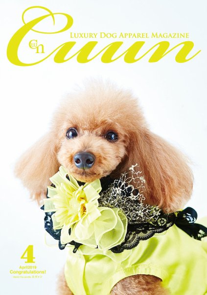 Cuun（クーン） 2019年4月号 (発売日2019年04月10日) 表紙