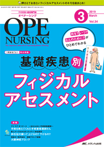 OPE NURSING（オペナーシング） 2019年3月号 (発売日2019年02月20日
