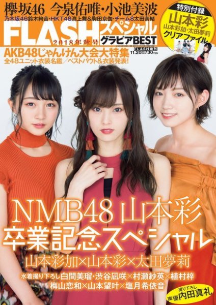 FLASH (フラッシュ) スペシャル グラビアBEST 2018年11月20日 増刊号 (発売日2018年10月31日) 表紙