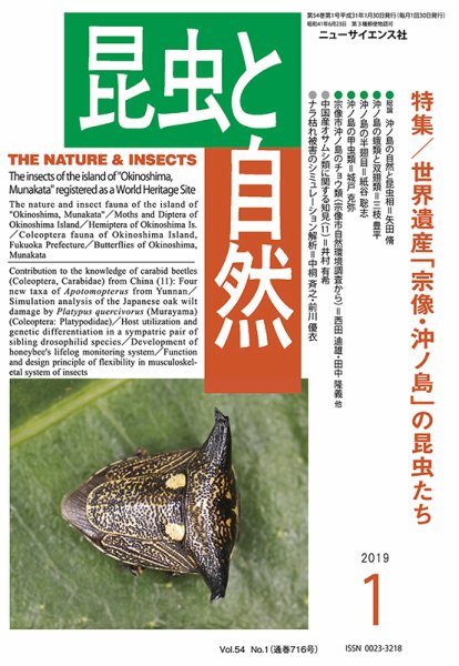 昆虫と自然 2019年1月号 (発売日2018年12月21日) 表紙