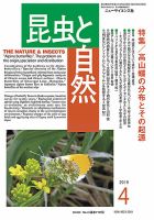 昆虫と自然 2019年4月号 表紙