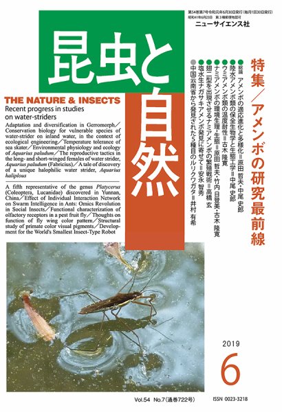昆虫と自然 2019年6月号 (発売日2019年05月23日) 表紙