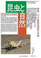 昆虫と自然 2019年7月号 表紙