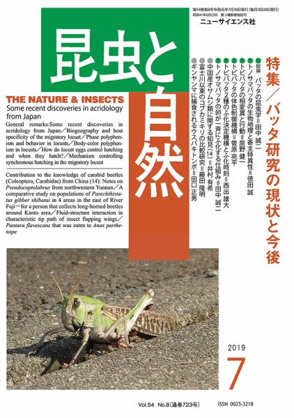 昆虫と自然 2019年7月号 (発売日2019年06月21日) 表紙
