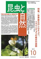 昆虫と自然 2019年10月号 表紙