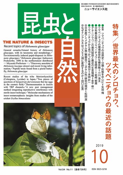昆虫と自然 2019年10月号 (発売日2019年09月21日) 表紙