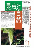 昆虫と自然 2019年11月号 表紙