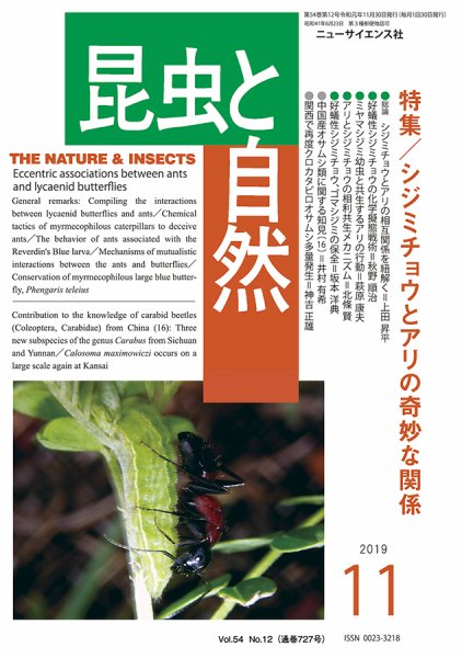昆虫と自然 2019年11月号 (発売日2019年10月21日) 表紙