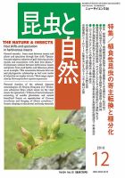 昆虫と自然 2019年12月号 (発売日2019年11月22日) 表紙