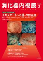 消化器内視鏡 19年2月号 (発売日2019年02月25日) 表紙