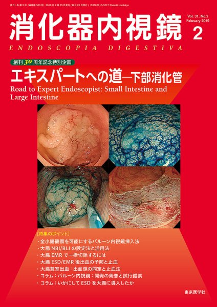 消化器内視鏡 19年2月号 (発売日2019年02月25日) 表紙