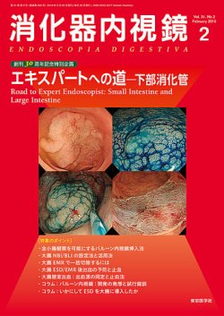 消化器内視鏡 19年2月号 (発売日2019年02月25日) 表紙