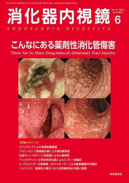 消化器内視鏡 19年6月号 (発売日2019年06月25日) 表紙