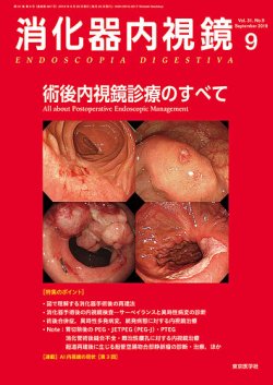 消化器内視鏡 19年9月号 (発売日2019年09月25日) 表紙
