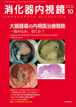 消化器内視鏡 19年10月号 (発売日2019年10月25日) 表紙
