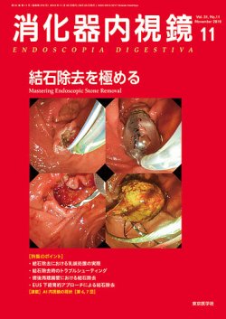 消化器内視鏡 19年11月号 (発売日2019年11月25日) 表紙