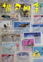 俳句四季 2019年5月号 表紙