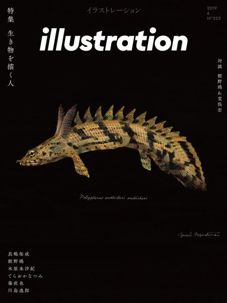 イラストレーション (Illustration) No.222 (発売日2019年04月18日) 表紙