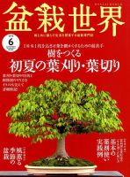 盆栽世界 2019年6月号 表紙