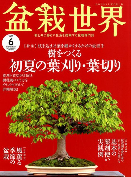 盆栽世界 2019年6月号 (発売日2019年05月02日) 表紙