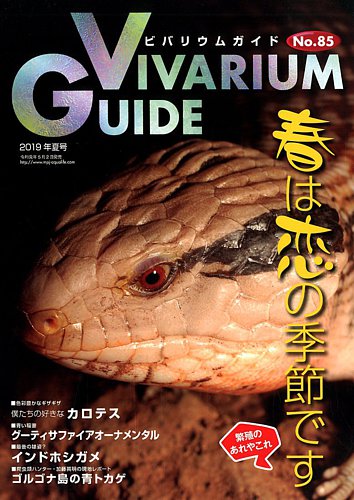 ビバリウムガイド 85号 (発売日2019年05月02日) | 雑誌/電子書籍/定期 