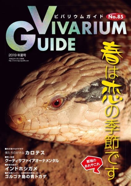 ビバリウムガイド 85号 (発売日2019年05月02日) 表紙