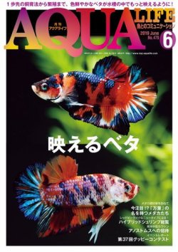 雑誌/定期購読の予約はFujisan 雑誌内検索：【作出】 がアクアライフの2019年05月11日発売号で見つかりました！