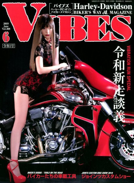 VIBES（バイブズ） 2019年6月号 (発売日2019年05月11日) | 雑誌/定期