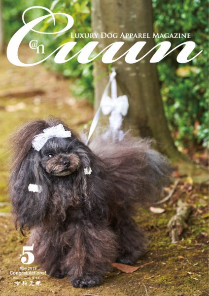 Cuun（クーン） 2019年5月号 (発売日2019年05月10日) 表紙