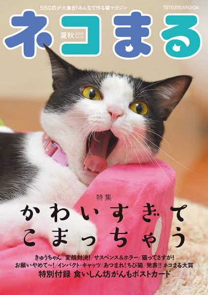ネコまる Vol.38 (発売日2019年05月21日) 表紙