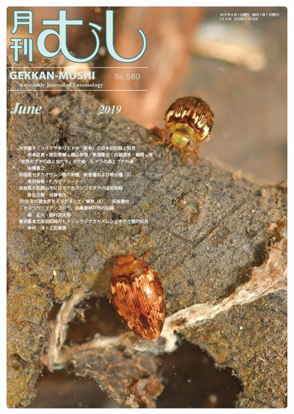 月刊むし 580 (発売日2019年05月23日) 表紙
