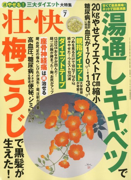 壮快 2019年7月号 (発売日2019年05月16日) 表紙