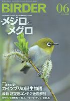 BIRDER（バーダー） 2019年6月号 表紙