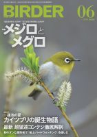 BIRDER（バーダー） 2019年6月号 (発売日2019年05月16日) 表紙