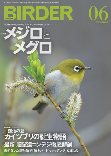 BIRDER（バーダー） 2019年6月号 (発売日2019年05月16日) 表紙