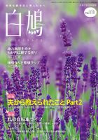 白鳩 No.111 表紙