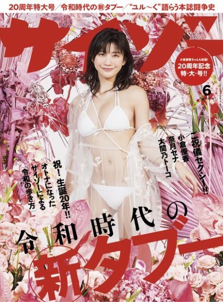 サイゾー 2019年6月号 (発売日2019年05月20日) 表紙