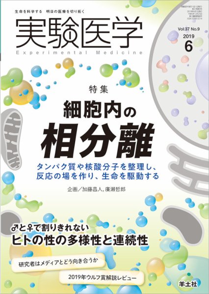 実験医学 Vol.37No.9 (発売日2019年05月20日) 表紙