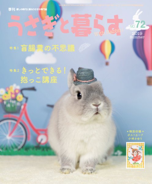 うさぎと暮らす 2019年7月号 (発売日2019年05月17日) 表紙