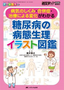 糖尿病ケア＋（プラス） 春季増刊 (発売日2019年02月17日) 表紙