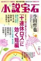 小説宝石 2019年6月号 表紙