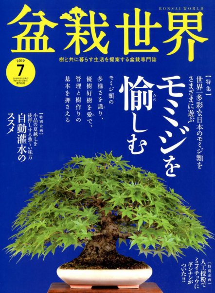 盆栽世界 2019年7月号 (発売日2019年06月04日) 表紙