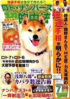 ロト・ナンバーズ超的中法 2019年7月号 表紙