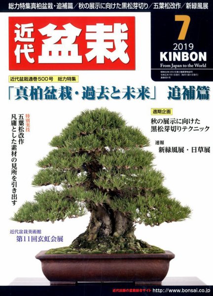 月刊 近代盆栽 2019年7月号 (発売日2019年06月04日) 表紙